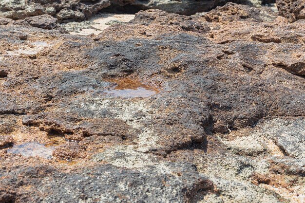 Foto vista lateral del lecho marino después de la marea baja textura de la costa volcánica de piedra pómez de fondo áspero negro