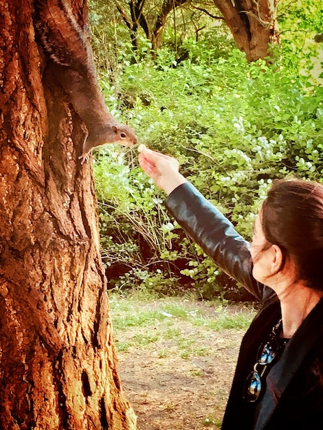 Foto vista lateral de una mujer adulta alimentando a una ardilla en un árbol mientras está de pie en el bosque