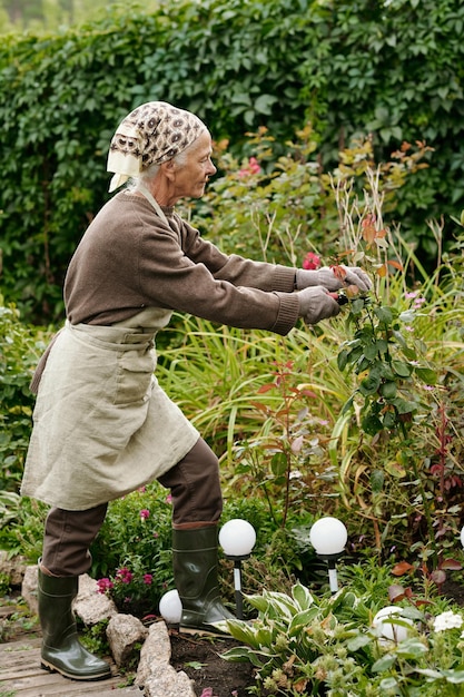 Vista lateral de una mujer jubilada en ropa de trabajo cuidando un rosal en el jardín