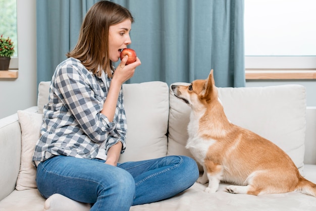 Vista lateral de la mujer que come la manzana en el sofá con el perro