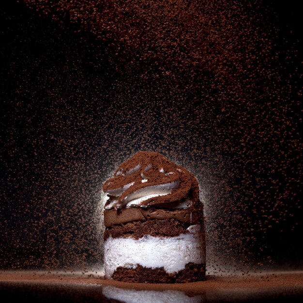Vista lateral de un pastel de chocolate recién horneado espolvoreado con cacao en la encimera con oscuridad