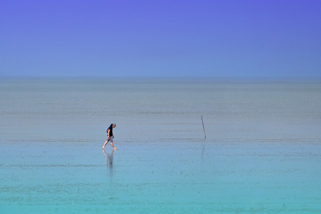 Vista lateral de una persona caminando por la playa contra un cielo despejado