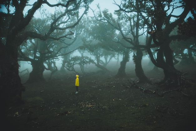 Vista lateral de una persona con una chaqueta amarilla de pie en el bosque durante el tiempo de niebla