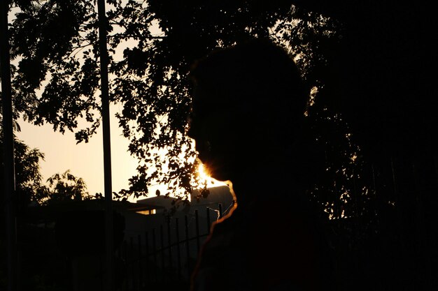 Foto vista lateral de la silueta de una persona contra los árboles al atardecer