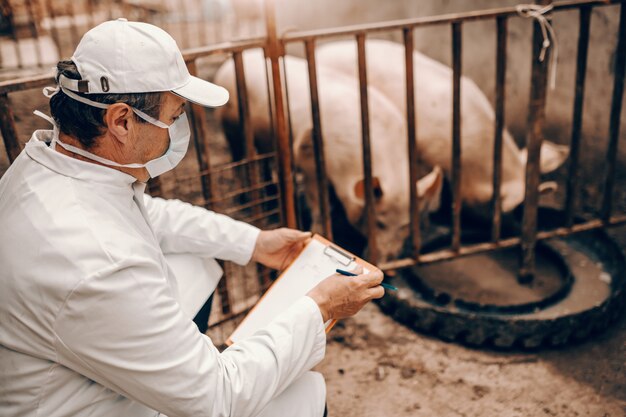 Vista lateral del veterinario en bata blanca, máscara y sombrero con portapapeles y control de cerdos mientras se agacha junto a la cote.