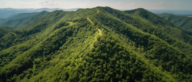 Una vista desde lo alto de un pico de montaña con árboles verdes en la nieblaVista aérea Toma panorámica IA generativa