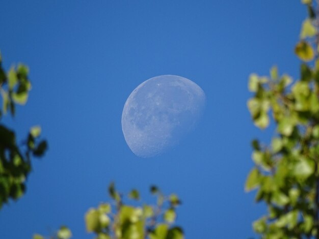 Foto vista de la luna en bajo ángulo contra el cielo azul