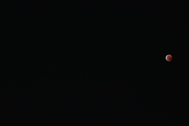 Vista de la luna en bajo ángulo por la noche