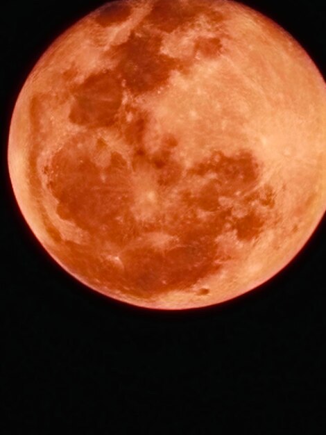 Foto vista de la luna roja por la noche