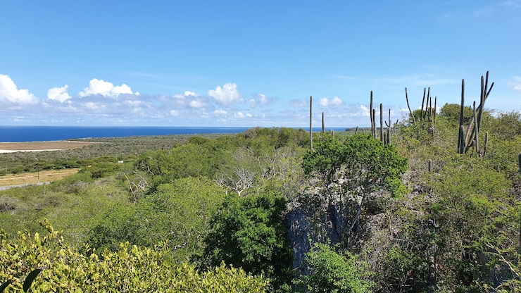 Foto vista magnífica das cavernas de hato, em curaçao