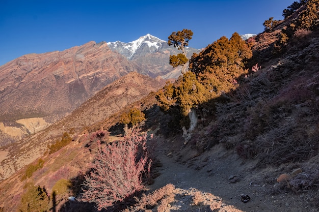 Vista de las majestuosas montañas otoñales de Nepal desde el trekking por Annapurna