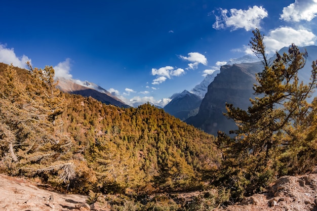 Vista de las majestuosas montañas otoñales de Nepal desde el trekking por Annapurna