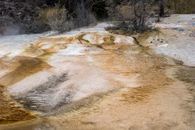 Vista de Mammoth Hot Springs en el Parque Nacional de Yellowstone