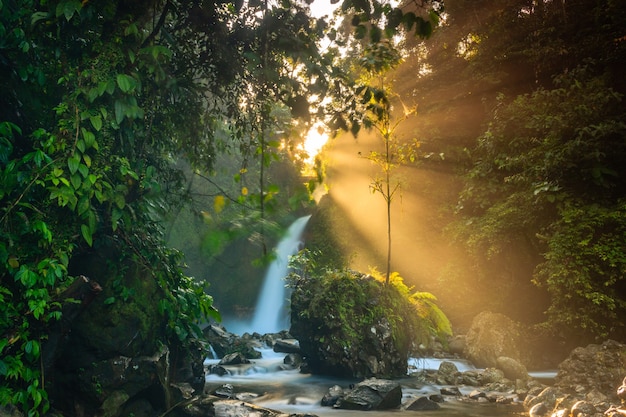 Vista de la mañana en la cascada al amanecer.