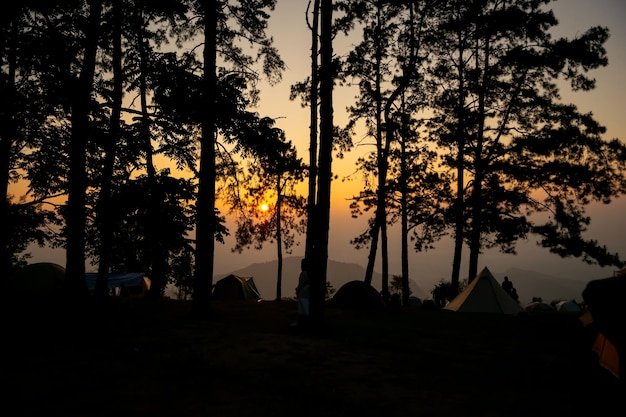 Foto vista de la mañana en la naturaleza de la montaña doi ang khang tailandia