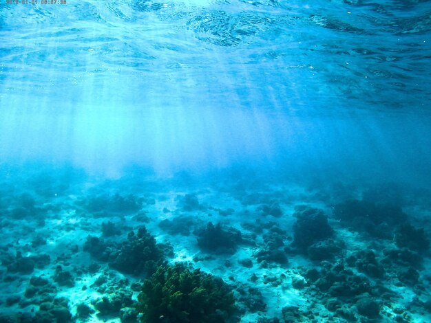 Foto vista del mar bajo el agua