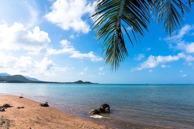 Vista del mar azul bajo palmeras en la playa. Koh Samui Tailandia