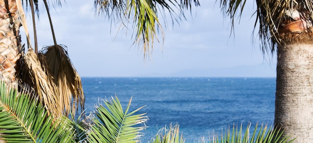 Vista del mar de Cerdeña a través de palmeras