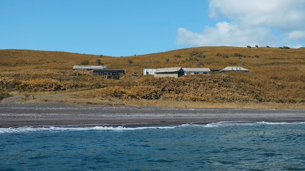 Vista desde el mar a la costa con casas y vegetación en un día soleado clip nadando por la costa con abandonado
