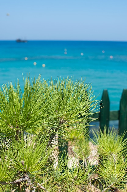 Vista del mar Mediterráneo en la isla de Chipre, Protaras