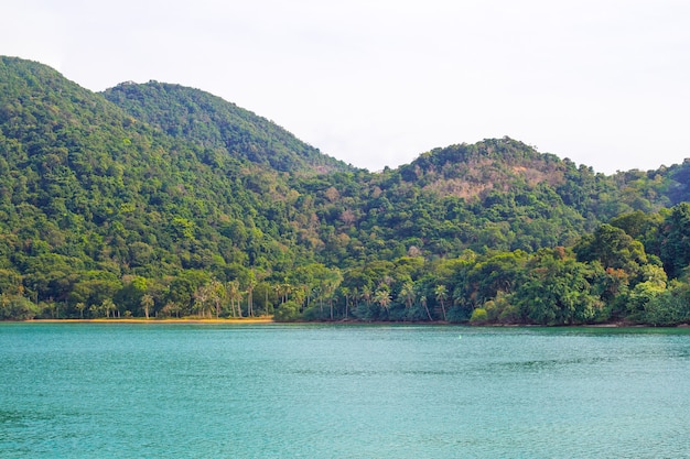 Vista desde el mar a las montañas con la jungla en la isla