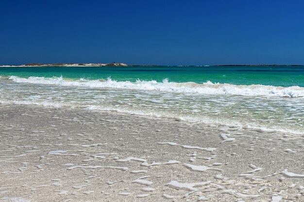 vista maravilhosa da praia