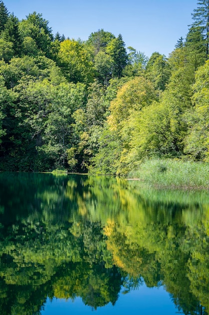 Vista maravilhosa do conceito de viagem e natureza do Parque Nacional dos Lagos de Plitvice Croácia Europa Central