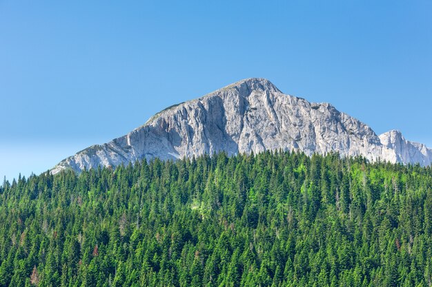 Vista maravilhosa para as montanhas em montenegro