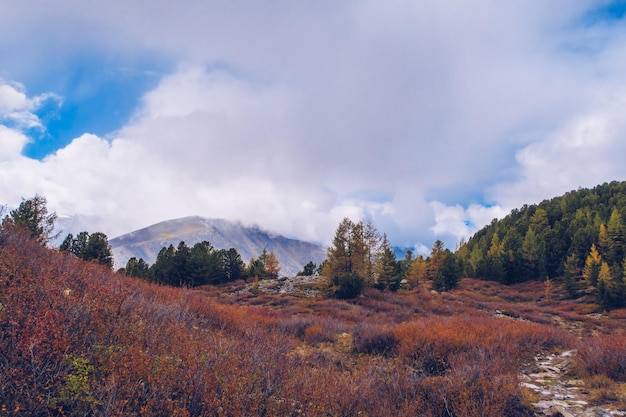 Vista maravilhosa pitoresca nas montanhas Paisagem cênica incrível do vale da cordilheira entre nuvens e colinas florestais coloridas Temporada de outono nas montanhas fotografia de stock