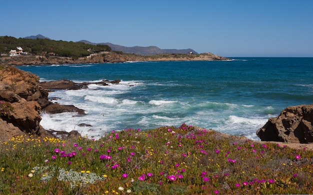 Vista marina con flores rosas.