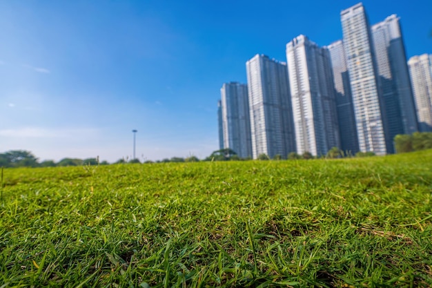 Vista matinal com árvores ensolaradas e verdes no Landmark 81, é um arranha-céu super alto com edifícios de desenvolvimento ao longo do rio Saigon, na cidade de Ho Chi Minh, Vietnã Conceito de viagens de negócios