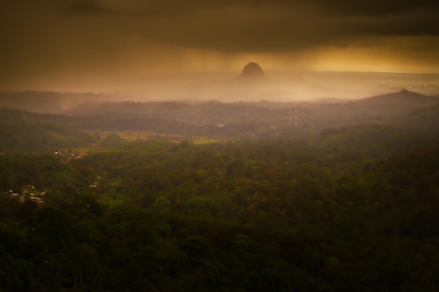 Vista matinal escura e bonita no cenário natural indonésio da floresta