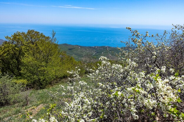 Vista de la meseta de las montañas de Crimea y el Mar Negro desde lo alto de Demerdzhi Rusia