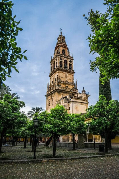 Vista de Mesquita Córdoba España