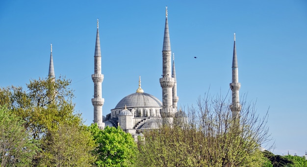 Una vista de la Mezquita Azul en Estambul