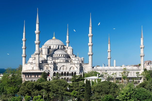 Foto vista de la mezquita azul sultanahmet camii en estambul turquía