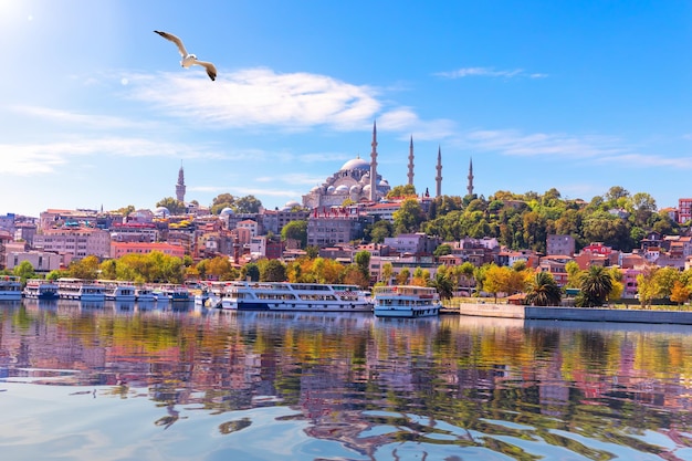 Vista de la Mezquita de Suleymaniye desde el muelle de Eminonu Estambul