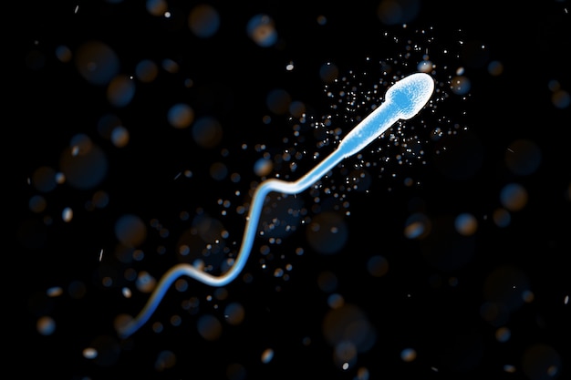 Vista microscópica del primer extremo del espermatozoide. Representación 3D
