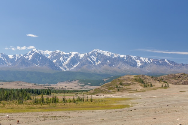 Vista de la montaña Belukha. Rusia