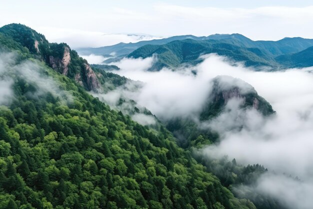 Una vista de una montaña cubierta de nubes y árboles