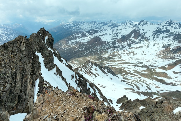 Vista de la montaña desde la estación superior del remonte de Karlesjoch (3108m., Cerca de Kaunertal Gletscher en la frontera entre Austria e Italia) con flores alpinas sobre precipicios y nubes