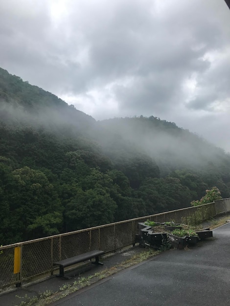 Vista a la montaña desde una estación de tren en la mañana brumosa