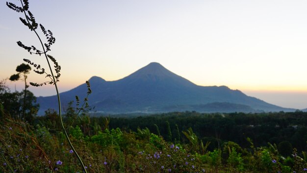 Foto una vista a la montaña desde el hotel.