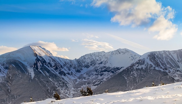 Foto vista de una montaña nevada y abetos con un fondo de cielo azul