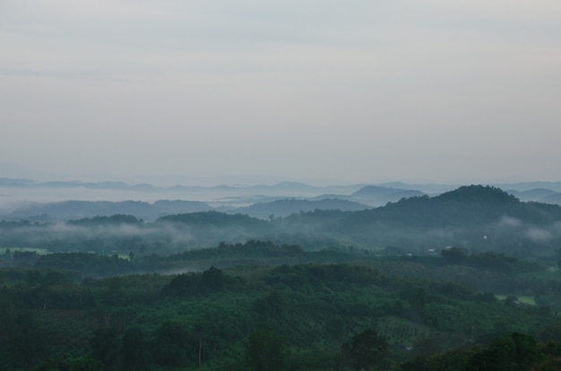 Vista a la montaña con niebla en luz oscura