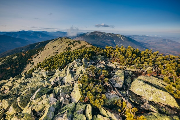 Una vista de la montaña rocosa.