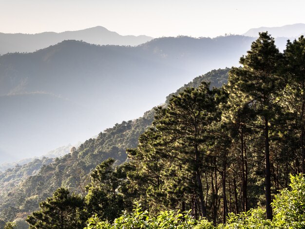 Vista de la montaña de Tailandia