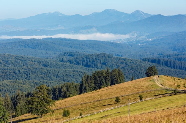 Vista de la montaña de verano (Cárpatos, Kryvopillja, distrito de Verkhovyna, región de Ivano-Frankivsk, Ucrania).