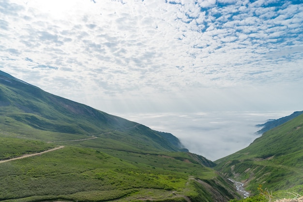 Vista de la montaña de verano a las tierras altas de niebla y al bosque de pinos