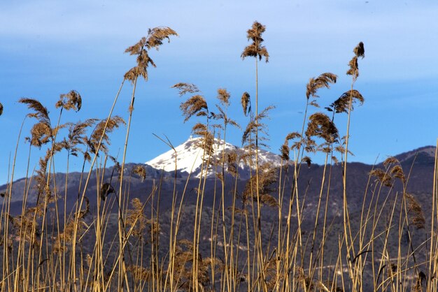 Foto vista de la montaña vitsi desde la orilla del lago kastoria